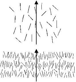 Schematische Darstellung einer nematischen (oben) und einer smektischen (unten) flüssigkristallinen Phase